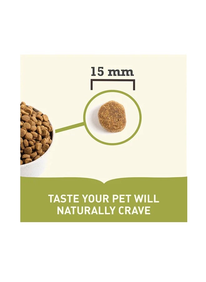 acana وصفة جرو السلالة الكبيرة - 11.4 كجم - Image 2